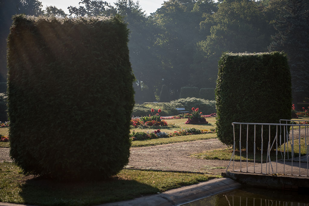 Legnicki Park Miejski o poranku wygląda olśniewająco