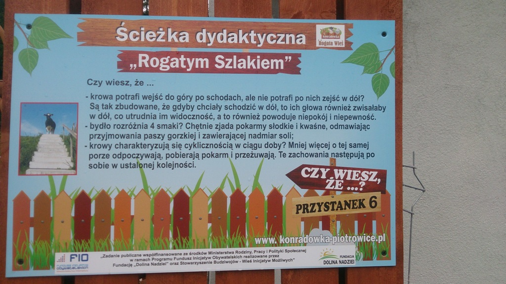 „Letnia Przygoda Edukacyjna” i inne atrakcje w Golance Górnej