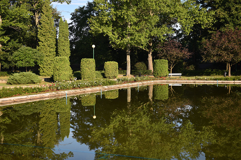 Legnicki Park Miejski o poranku wygląda olśniewająco