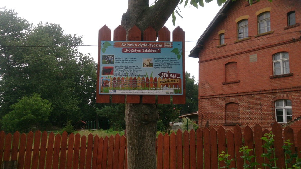 „Letnia Przygoda Edukacyjna” i inne atrakcje w Golance Górnej