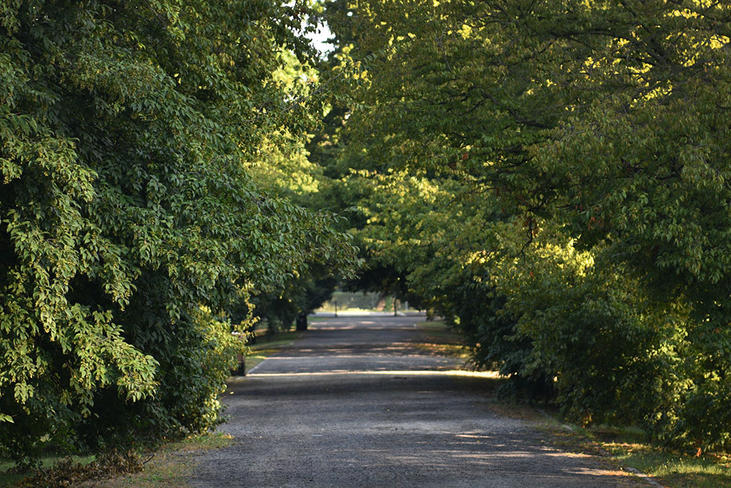 Legnicki Park Miejski o poranku wygląda olśniewająco