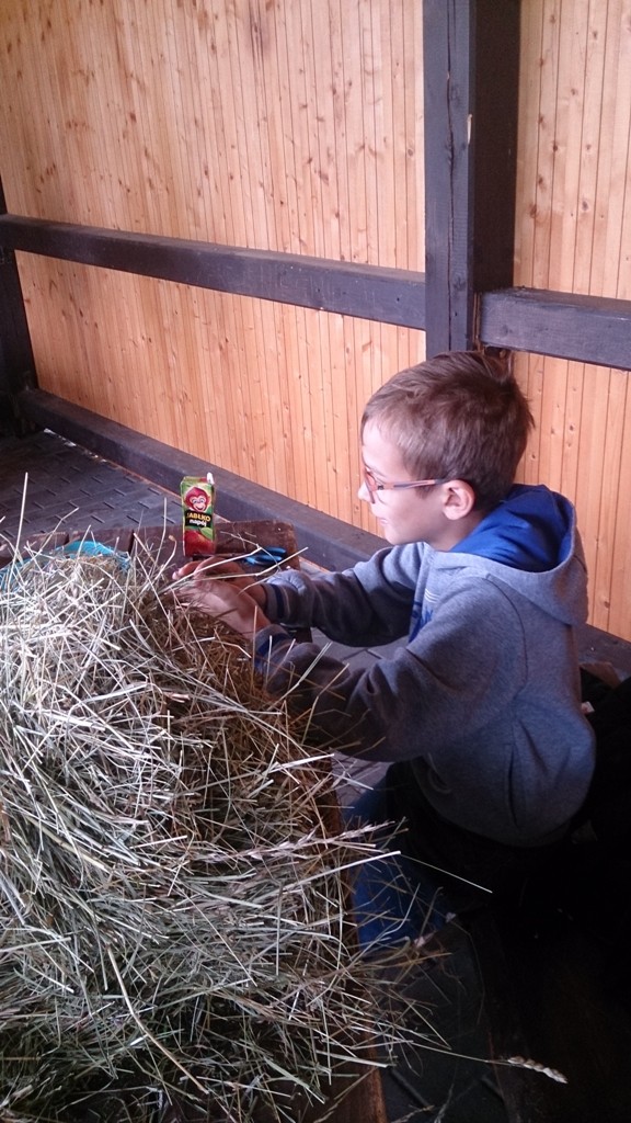 „Letnia Przygoda Edukacyjna” i inne atrakcje w Golance Górnej