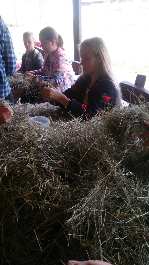 „Letnia Przygoda Edukacyjna” i inne atrakcje w Golance Górnej