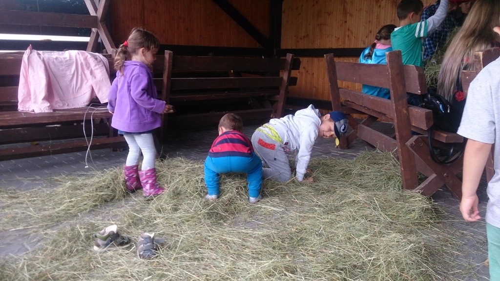 „Letnia Przygoda Edukacyjna” i inne atrakcje w Golance Górnej