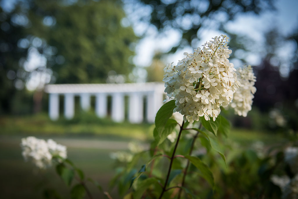 Legnicki Park Miejski o poranku wygląda olśniewająco