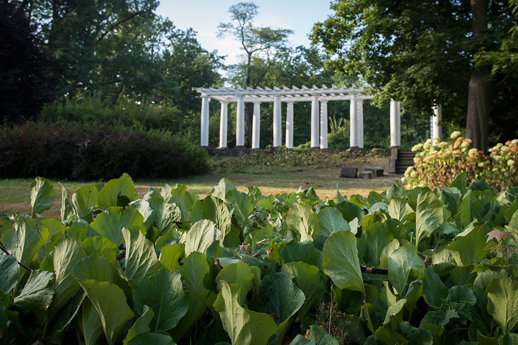 Legnicki Park Miejski o poranku wygląda olśniewająco