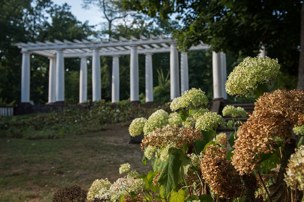 Legnicki Park Miejski o poranku wygląda olśniewająco