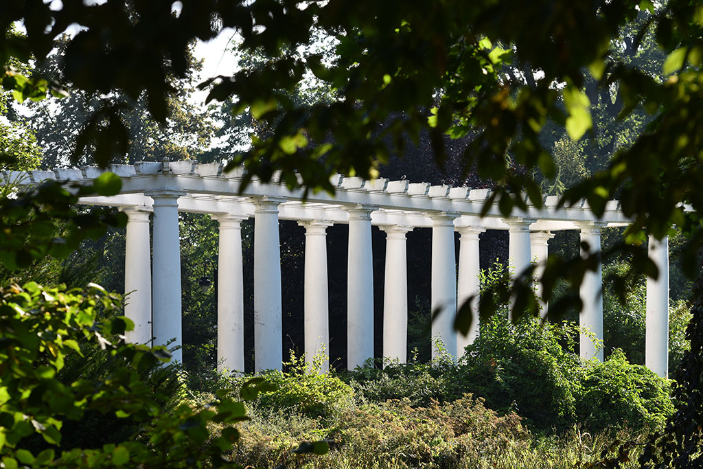 Legnicki Park Miejski o poranku wygląda olśniewająco