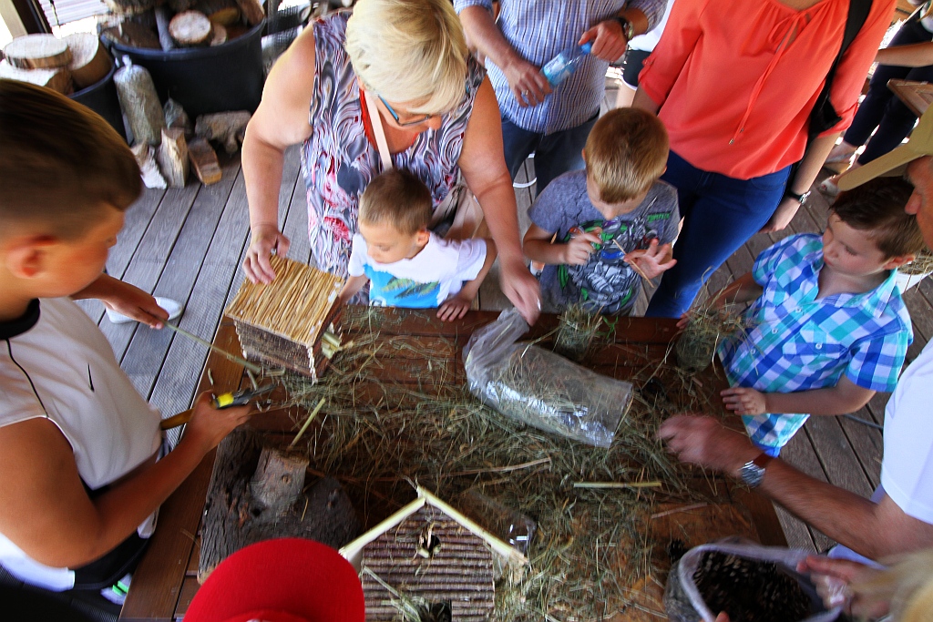 Warsztaty edukacyjne „Zimowe schronienia dla owadów”