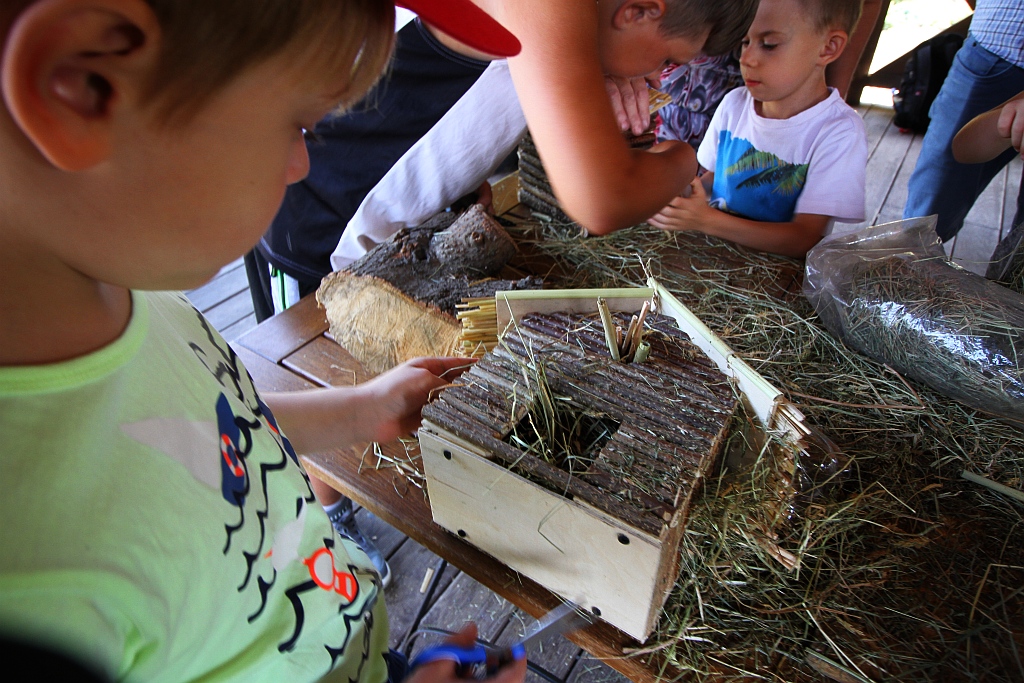 Warsztaty edukacyjne „Zimowe schronienia dla owadów”