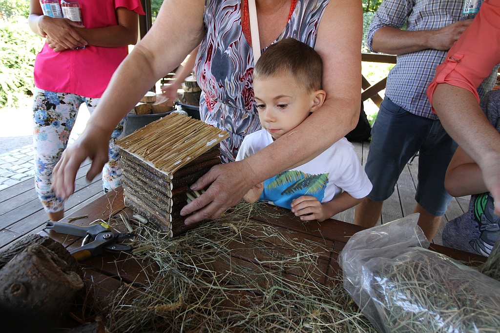Warsztaty edukacyjne „Zimowe schronienia dla owadów”