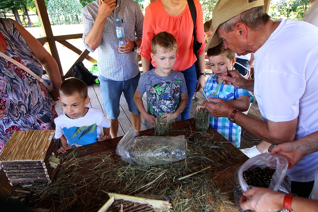 Warsztaty edukacyjne „Zimowe schronienia dla owadów”