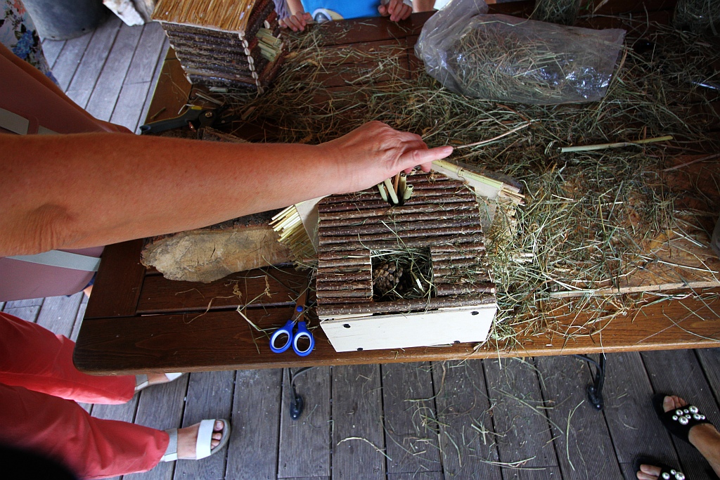 Warsztaty edukacyjne „Zimowe schronienia dla owadów”