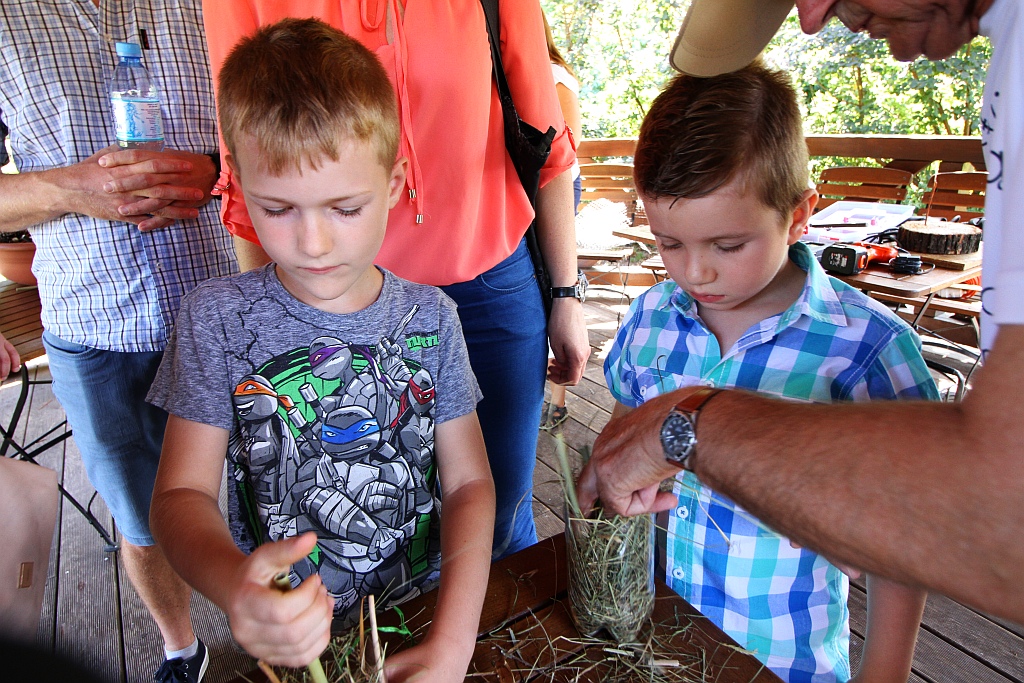 Warsztaty edukacyjne „Zimowe schronienia dla owadów”