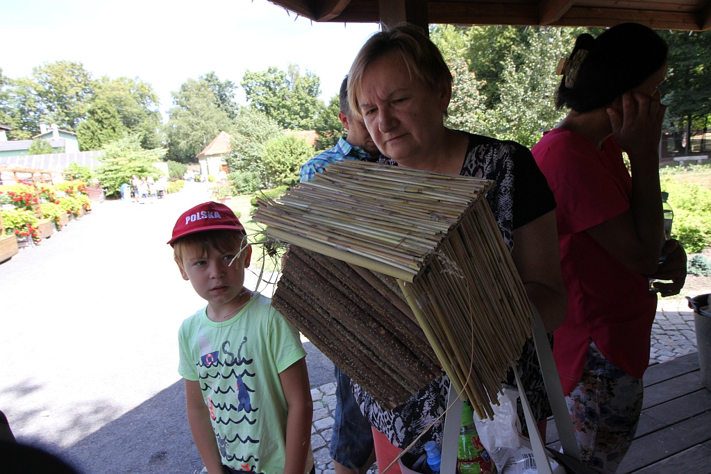 Warsztaty edukacyjne „Zimowe schronienia dla owadów”