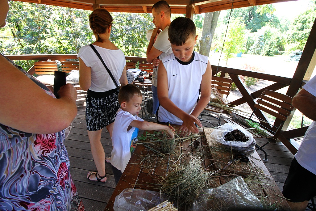 Warsztaty edukacyjne „Zimowe schronienia dla owadów”