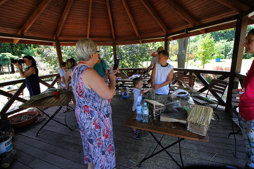 Warsztaty edukacyjne „Zimowe schronienia dla owadów”