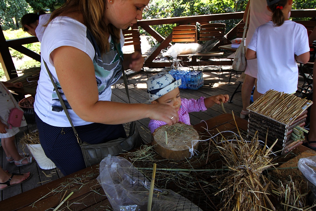 Warsztaty edukacyjne „Zimowe schronienia dla owadów”