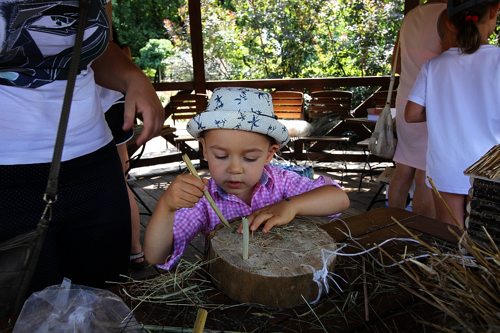 Warsztaty edukacyjne „Zimowe schronienia dla owadów”