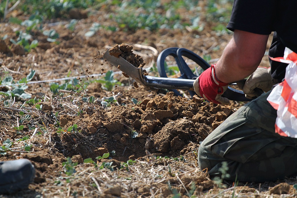 Poszukiwacze skarbów wrócili na legnickie pola