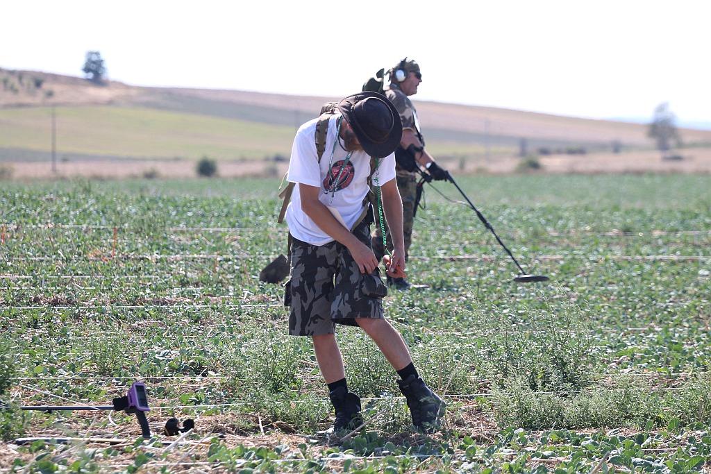 Poszukiwacze skarbów wrócili na legnickie pola