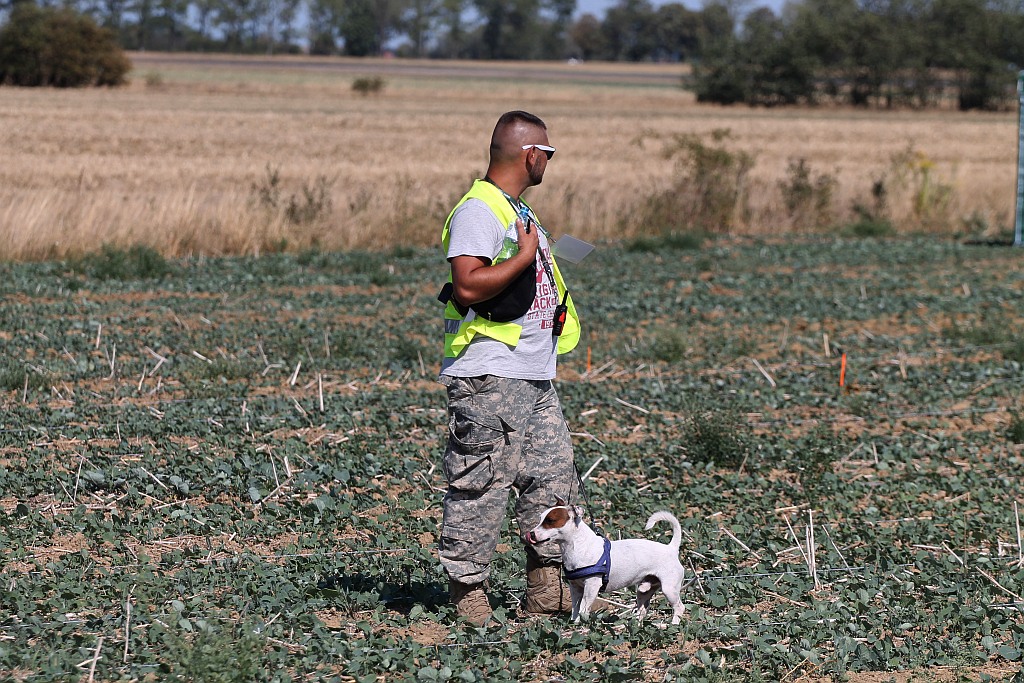 Poszukiwacze skarbów wrócili na legnickie pola