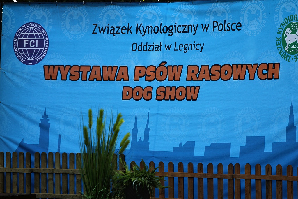 Setka terierów walczyła o tytuły najlepszych w Legnickim Polu