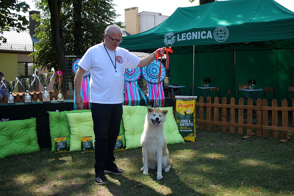 Setka terierów walczyła o tytuły najlepszych w Legnickim Polu