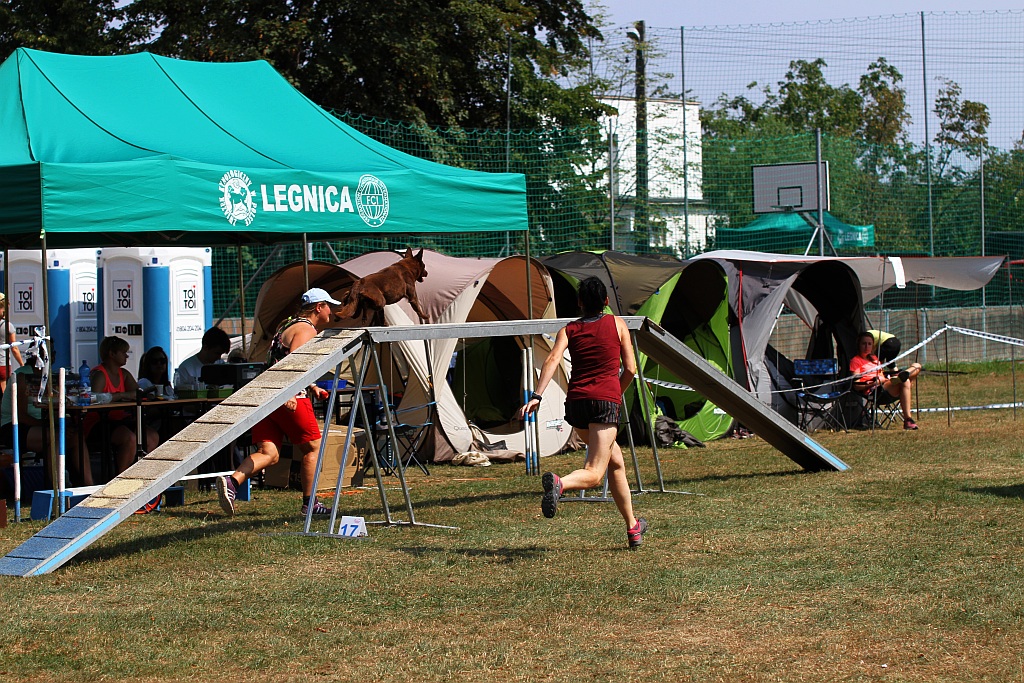 X Krajowa Wystawa Psów Myśliwskich w Legnickim Polu