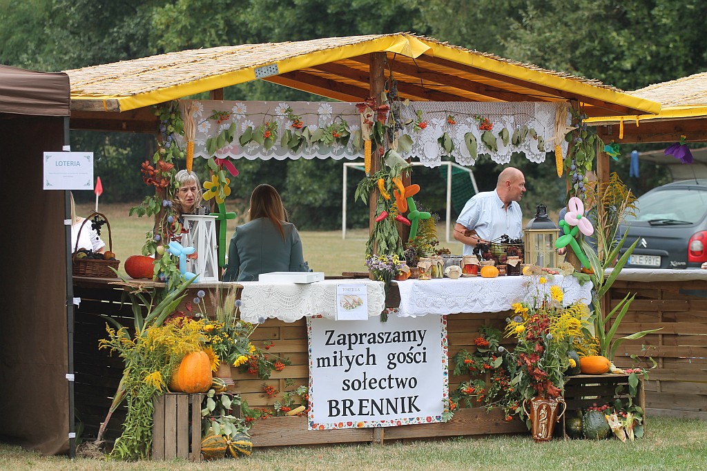Mieszkańcy gminy Ruja bawią się na dożynkach w Tyńcu