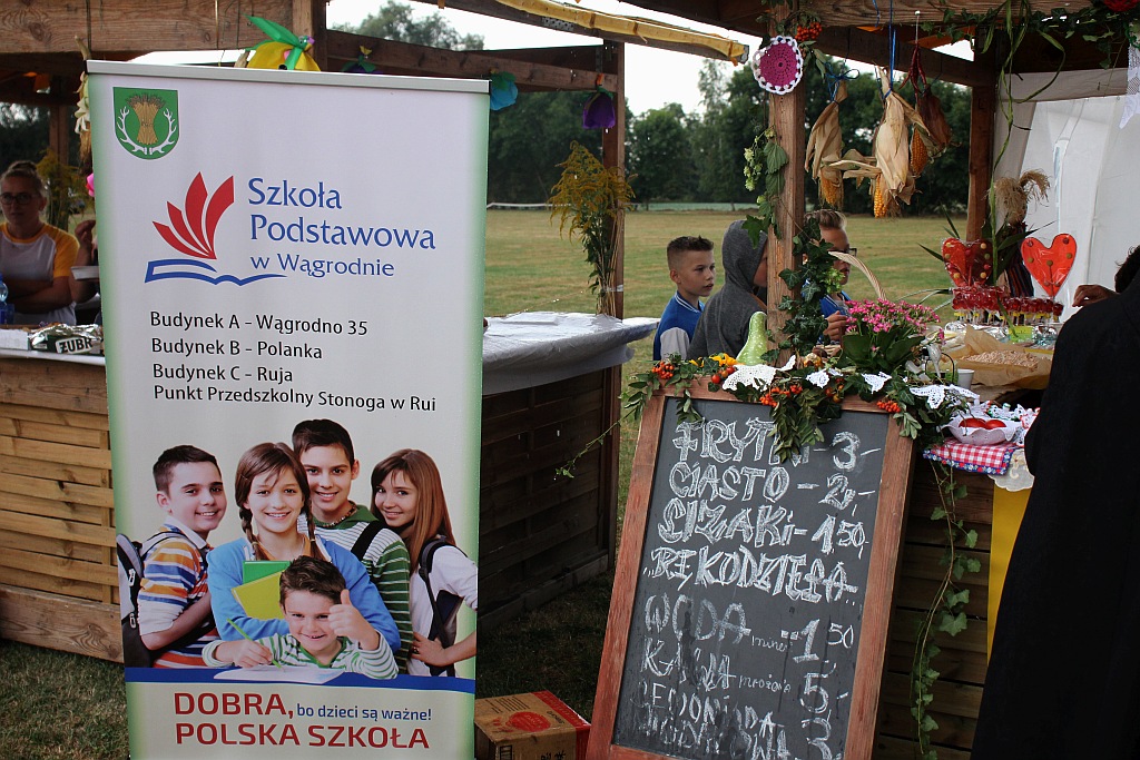 Mieszkańcy gminy Ruja bawią się na dożynkach w Tyńcu