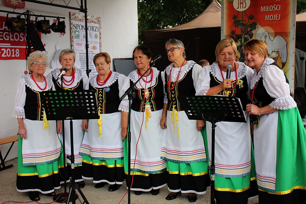 Mieszkańcy gminy Ruja bawią się na dożynkach w Tyńcu