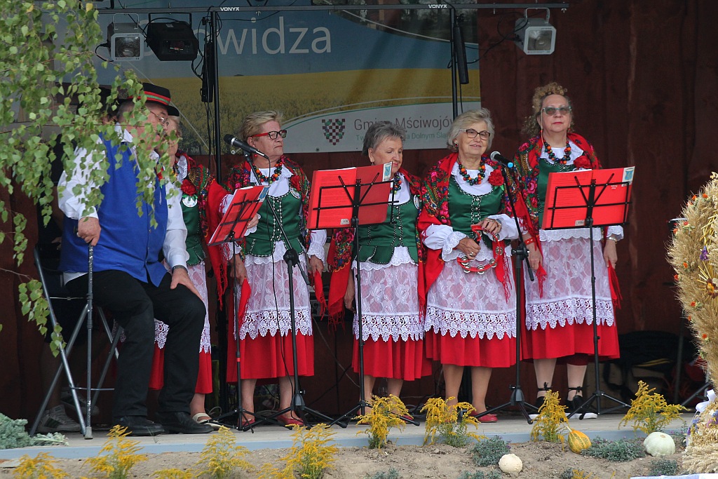 Mieszkańcy Snowidzy bawią się na dożynkach