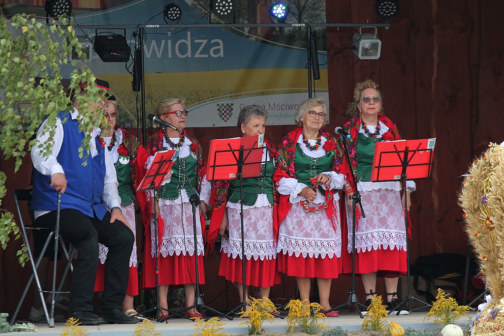 Mieszkańcy Snowidzy bawią się na dożynkach