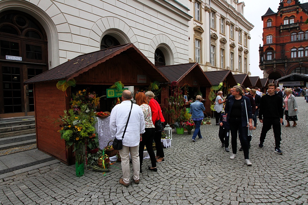 Działkowcy i pszczelarze opanowali legnicki rynek