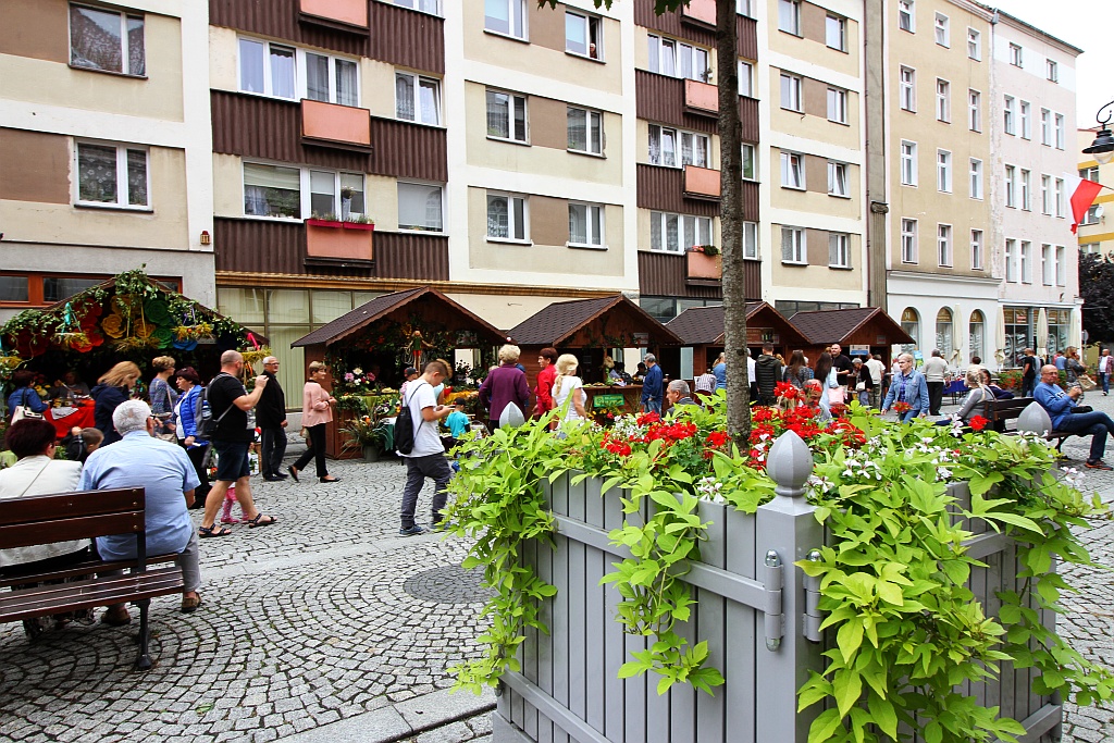Działkowcy i pszczelarze opanowali legnicki rynek
