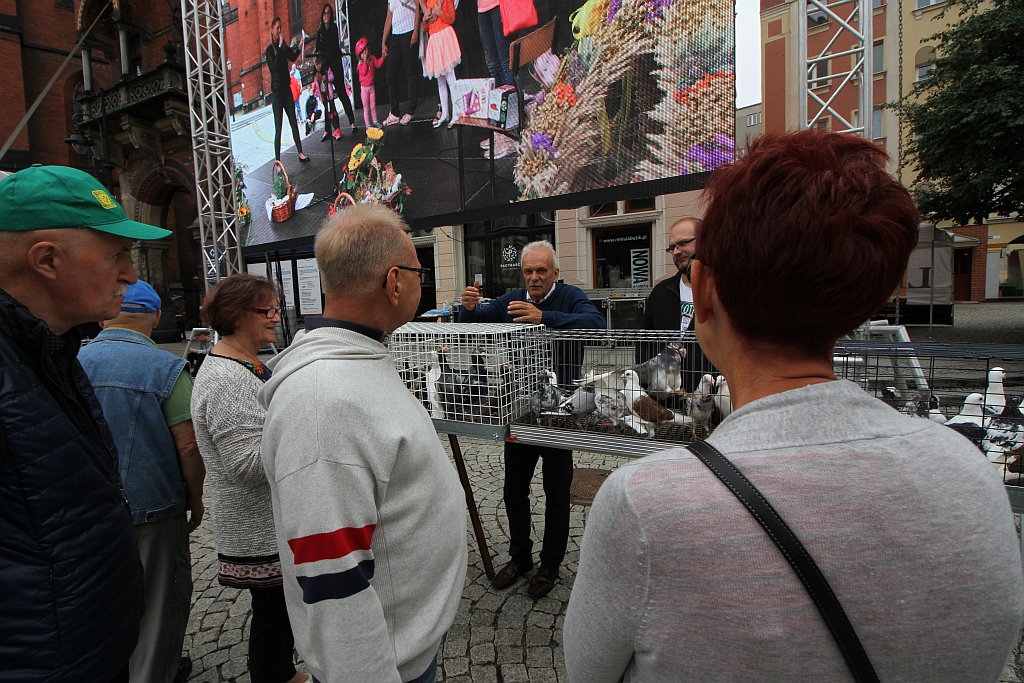 Działkowcy i pszczelarze opanowali legnicki rynek