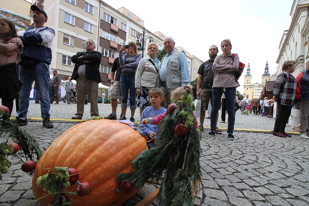 Działkowcy i pszczelarze opanowali legnicki rynek