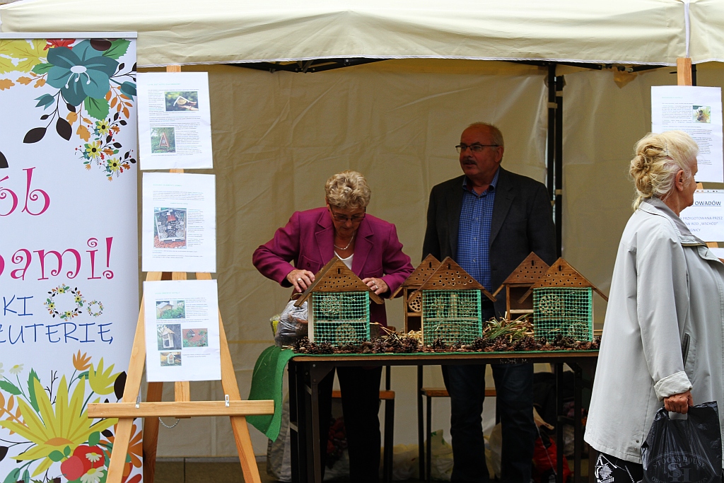 Działkowcy i pszczelarze opanowali legnicki rynek