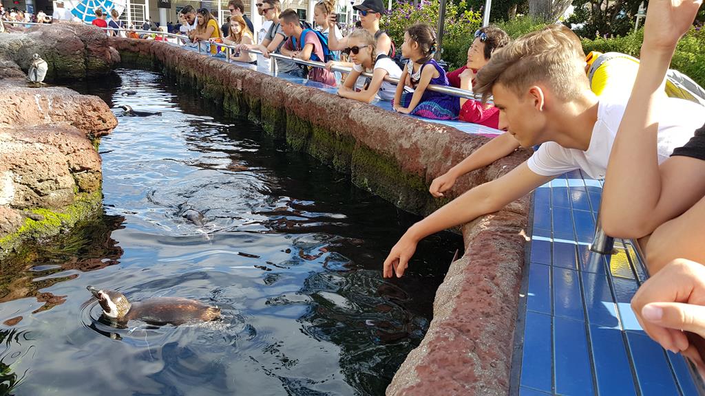 Młodzi ludzie ze Spynaczem zdobywali Amerykę