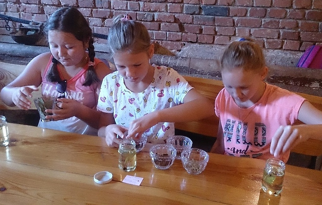 Wakacyjny wyjazd edukacyjny dla dzieci z Golanki Górnej