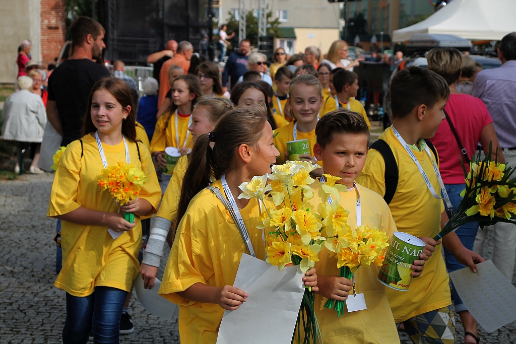 Kwestowali z żonkilami i zbierali krew podczas festynu