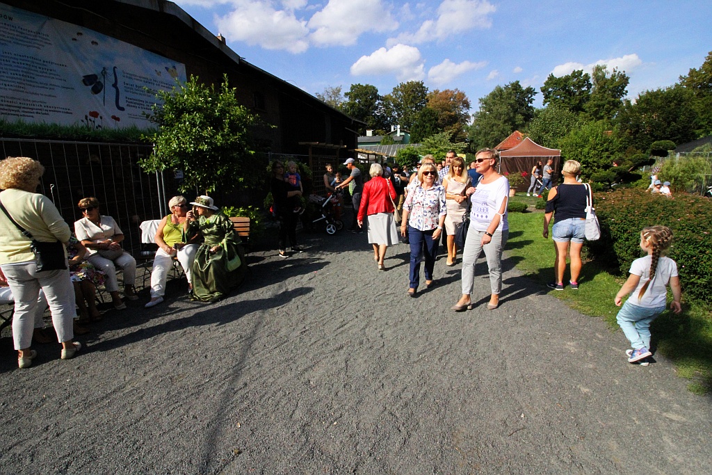 Wielka feta i tort na sto dwudzieste urodziny palmiarni