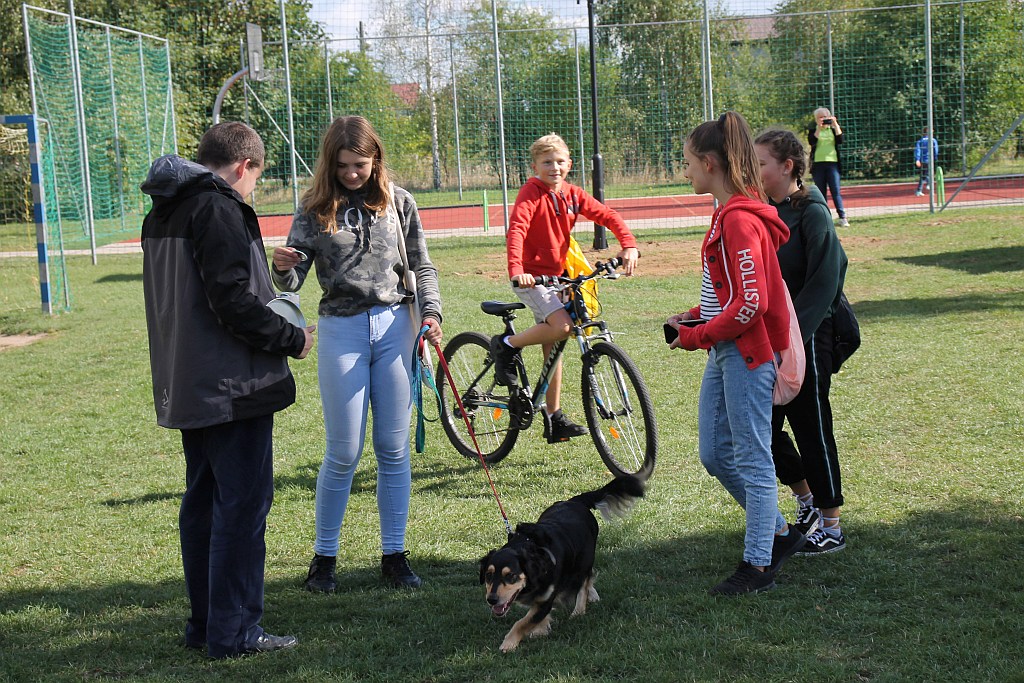 Smacznie, aktywnie i kreatywnie na Osiedlu Sienkiewicza