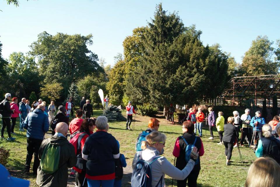 Osiemdziesiąt osób na jesiennym rajdzie nordic walking