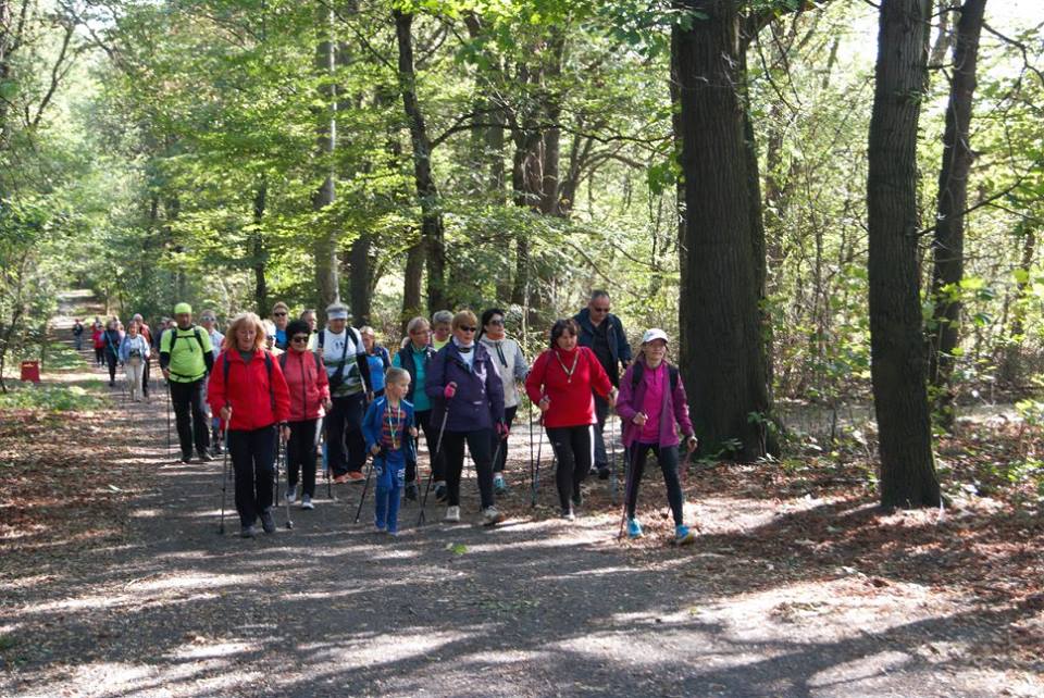 Osiemdziesiąt osób na jesiennym rajdzie nordic walking