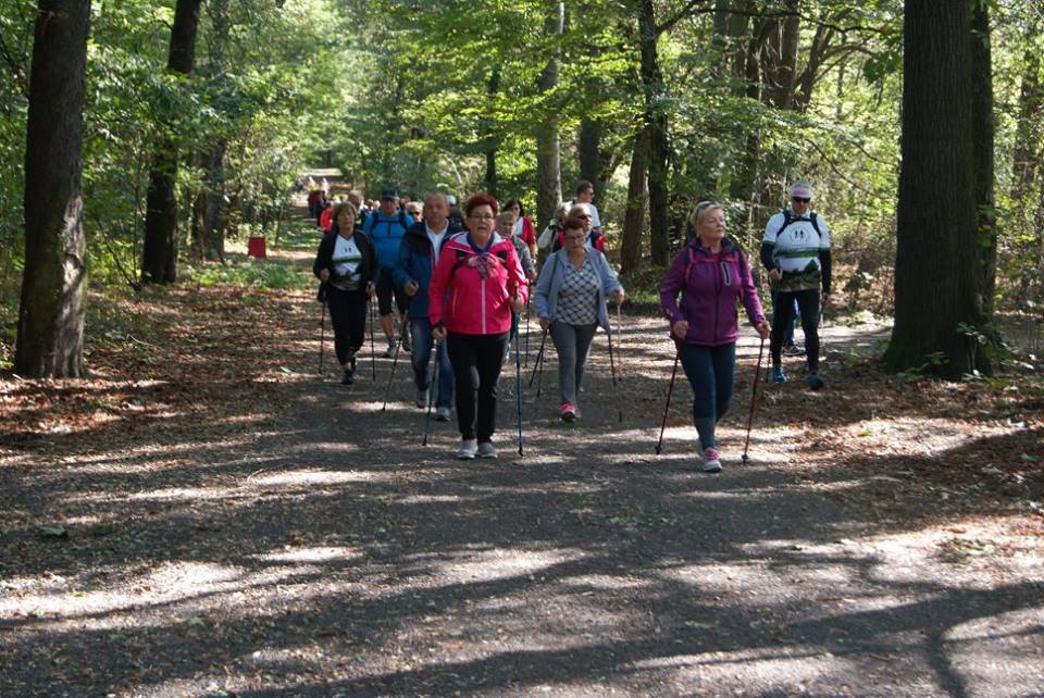 Osiemdziesiąt osób na jesiennym rajdzie nordic walking