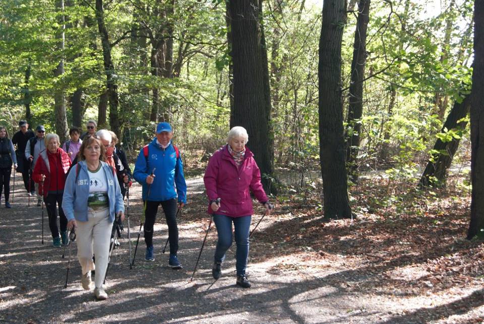 Osiemdziesiąt osób na jesiennym rajdzie nordic walking