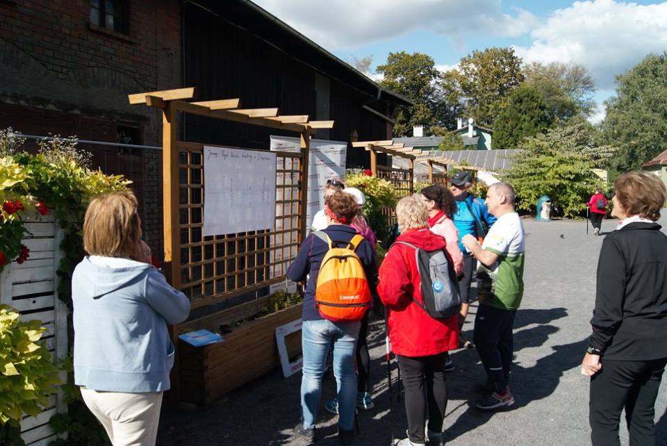 Osiemdziesiąt osób na jesiennym rajdzie nordic walking