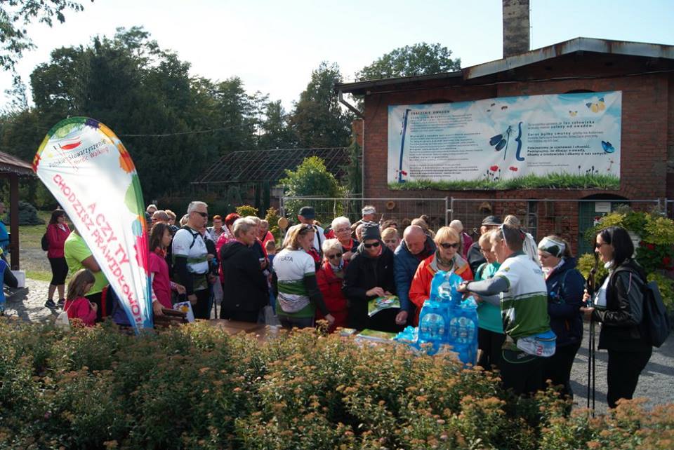 Osiemdziesiąt osób na jesiennym rajdzie nordic walking